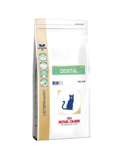 Comida para gato Royal Canin Dental Adulto Arroz Maíz Aves 1,5 Kg
