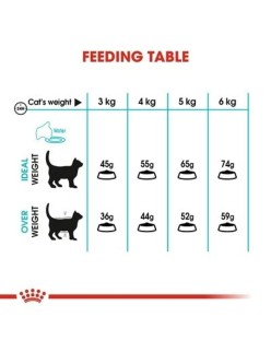 Comida para gato Royal Canin Urinary Care Adulto Pollo Aves 2 Kg