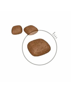 Comida para gato Royal Canin Urinary Care Adulto Pollo Aves 2 Kg