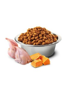 Comida para gato Farmina   Calabaza Adulto Pollo 1,5 Kg