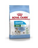 Futter Royal Canin Starter Mother And Babydog Erwachsener Huhn Vögel 1 kg