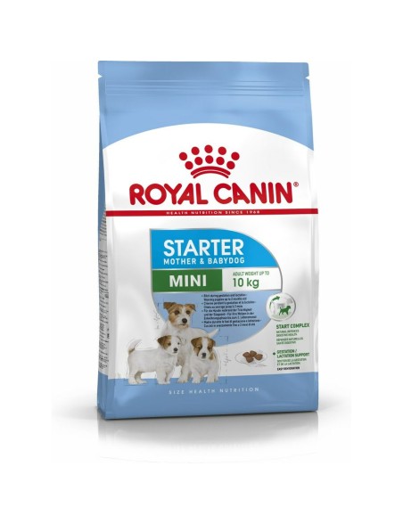 Futter Royal Canin Starter Mother And Babydog Erwachsener Huhn Vögel 1 kg