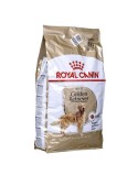Nourriture Royal Canin Golden Retriever Adult Adulte Poulet Viande Oiseaux 12 kg 12,5 Kg