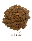 Pienso BOSCH Tiernahrung Adulto Pato Patatas 2,5 kg