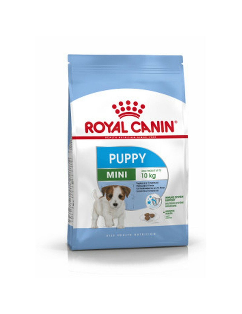 Futter Royal Canin Mini Puppy Welpe/Junior Huhn Reis Vögel 2 Kg