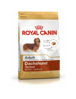Pienso Royal Canin Dachshund Adult Adulto Pollo Arroz Aves 1,5 Kg
