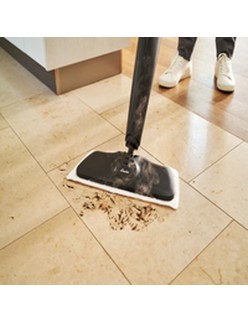 Dampfreiniger Vileda Steam XXL Plus
