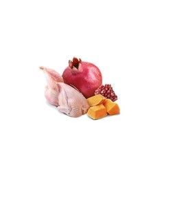 Comida húmeda Farmina N&D Pumpkin Grain-Free Canine 285g Pollo Vegetal 285 g