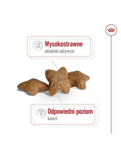Fodder Royal Canin Adult Mini S Birds 8 kg