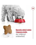 Nourriture Royal Canin Adult Mini S Oiseaux 8 kg