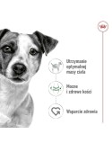Nourriture Royal Canin Adult Mini S Oiseaux 8 kg