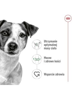Nourriture Royal Canin Adult Mini S Oiseaux 8 kg