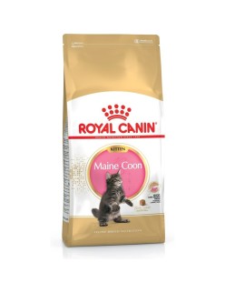 Comida para gato Royal Canin Maine coon Pollo Arroz Aves 400 g