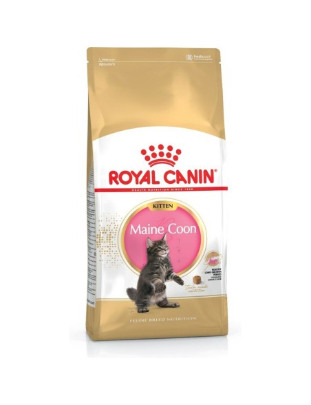 Comida para gato Royal Canin Maine coon Pollo Arroz Aves 400 g