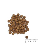 Futter VETEXPERT                                 Lachsfarben 10 kg