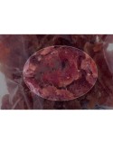 Snack pour chiens Hilton Canard 500 g