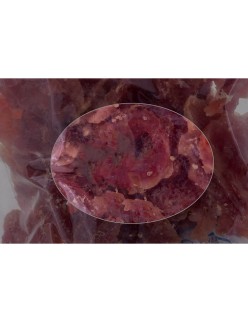 Snack para cães Hilton Pato 500 g