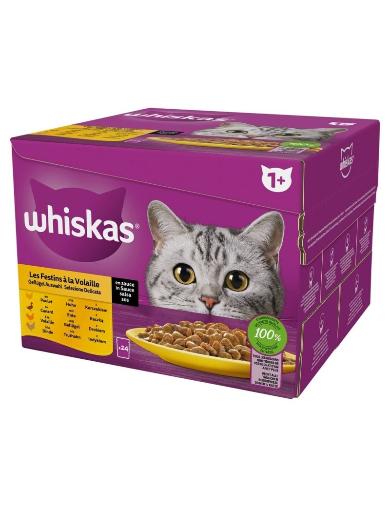 Cibo per gatti Whiskas Poultry Feast Pollo Tacchino Anatra Uccelli 24 x 85 g