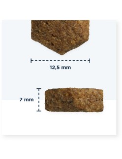 Futter Eukanuba Puppy large breed grain free ocean fish Fisch 3 Kg