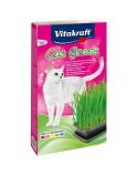 Snack für Katze Vitakraft Cat Grass