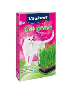 Snack für Katze Vitakraft Cat Grass