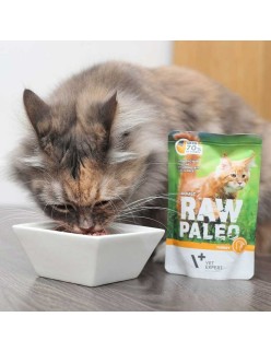 Katzenfutter VETEXPERT Adult Cat 100 g