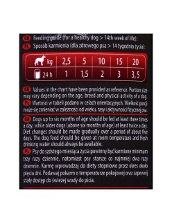 Nassfutter Dolina Noteci Piper Junior beef Rindfleisch Mohrrübe 400 g
