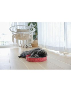 Scratching Post for Cats Kerbl                                 Pink Bronze Cardboard