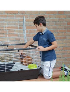 Cage Ferplast Metal Plastic 119 x 60 x 58 cm