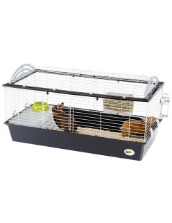 Cage Ferplast Metal Plastic 119 x 60 x 58 cm