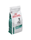 Futter Royal Canin Diabetic VHN Erwachsener Vögel 1,5 Kg