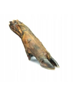 Hundesnack Petmex Wild boar hoof 300 g