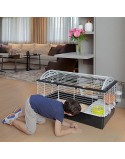 Cage Ferplast 100 Metal Plastic 96 x 57 x 56 cm