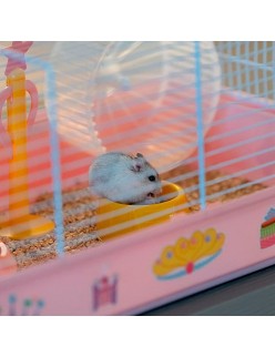 Cage Ferplast Criceti 9 Princess Metal Plastic 46 x 42,5 x 23 cm (1 Piece)