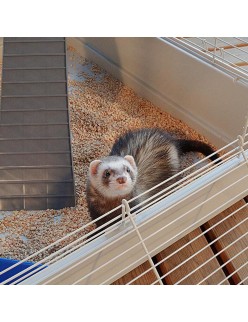 Käfig Ferplast Furet Power Metall/Kunststoff