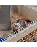 Käfig Ferplast Furet Power Metall/Kunststoff