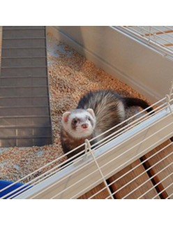 Käfig Ferplast Furet Power Metall/Kunststoff