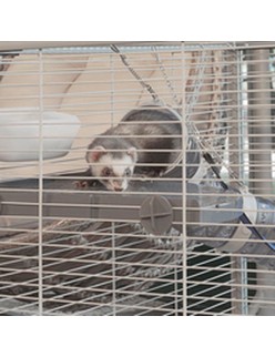 Jaula Ferplast Furet Power Metal/Plástico