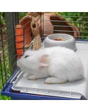 Käfig Ferplast Rabbit 120 Metall Kunststoff 11,8 x 58,5 x 49,5 cm