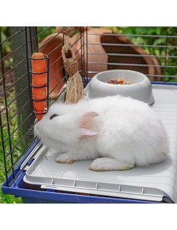 Gabbia Ferplast Rabbit 120 Metallo Plastica 11,8 x 58,5 x 49,5 cm