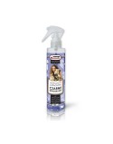 Eliminador de Olores Certech 16687 Antimanchas 250 ml