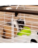 Cage Ferplast 57065070 Métal Plastique Métal/Plastique 70 x 70 x 48 cm