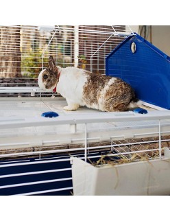 Cage Ferplast Nature Metal Plastic 119 x 77 x 58 cm