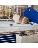 Cage Ferplast Nature Metal Plastic 119 x 77 x 58 cm