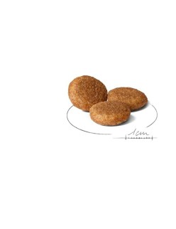 Futter Royal Canin Vögel 12 kg