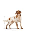 Futter Royal Canin Vögel 12 kg