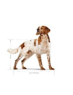 Futter Royal Canin Vögel 12 kg