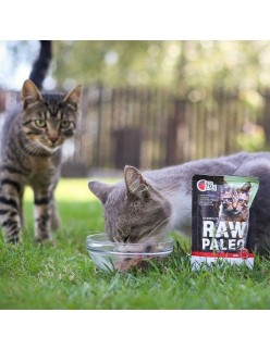 Katzenfutter VETEXPERT Adult Cat Rind und Kalbfleisch 100 g