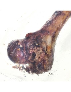 Snack para cães Petmex Ham bone Porco 200 g