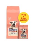 Nourriture Purina Sensitive Salmon Saumon